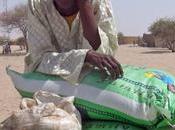 Niger dénuement total pour déplacés dans région Diffa