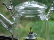 Booste terrarium