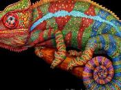 Dessiner caméléon