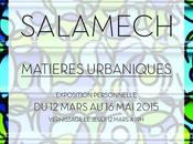 Exposition SALAMECH MATIERES URBANIQUES