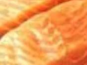 Terrine poireaux chemise d’épinards saumon