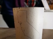 Enterrer votre tasse café jetable arbre verra jour