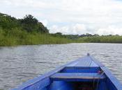jours nuit dans forêt Amazonienne