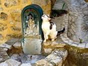 chat fontaine