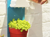 DECO Little Clouds houseplants