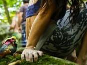 Test chaussons Hiangle FiveTen