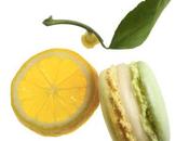 Gourmandise macaron mois Pierre Marcolini