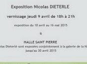 Galerie Frédéric MOISAN exposition Nicolas DIETERLE 10Avril 2015