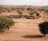 Afrique : Développer le capital intellectuel ou périr