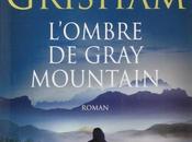 L?ombre Gray Mountain John Grisham