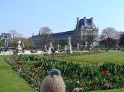 Paris Jardin Tuileries