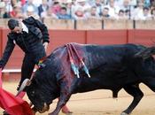 Seville: oreilles pour manzanares.....la feria demarre