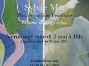 Exposition Photographie Peinture Comme longs échos Sylvie |Galerie REMP-ARTS |Durban-Corbières
