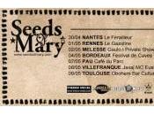 Seeds Mary tournée