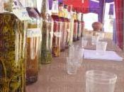 FestiBio Togo Bernay-radio.fr…