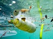 l’assaut grands vortex déchets dans océans