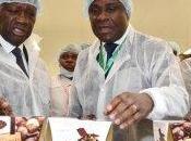chocolaterie pour Côte d’Ivoire