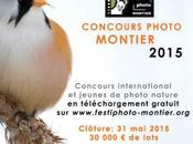 Festival Montier attend photos Nature pour récompenser