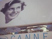 Escale bleue Grey Gosse festival Cannes