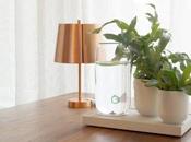 100% Certifié MyDéco Ecolo