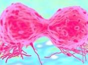 CANCER SEIN: barrer l'accès poumons