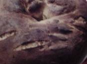 Mise l'honneur (10) Marie-Isabelle (zaza pour intimes)