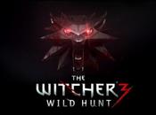 Test Vidéo Witcher Wild Hunt