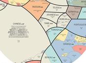 infographie fascinante répartition langues parlées travers monde