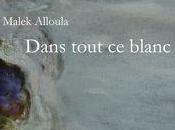 (note lecture) Malek Alloula, "dans tout blanc", Jacques Morin