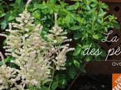 fêtes pères... avec pouce vert!