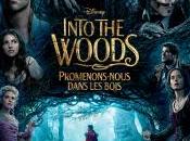 Into Woods Notre critique