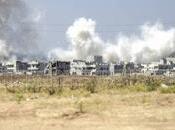 Syrie L'État Islamique chassé Kobané forces régime syrien, aidé kurdes