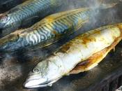 Maquereaux plancha l'orientale