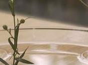 DECO délicats vases flottants