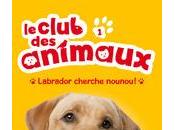 club animaux tome Labrador cherche nounou