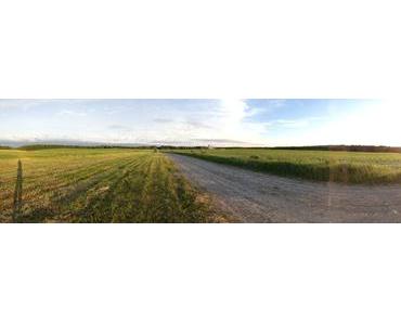 L’amour est dans le pré.