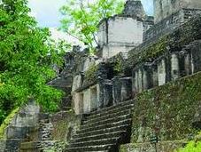 Tikal: comment cité Maya s'est effondrée...