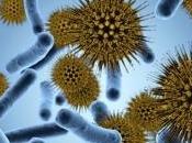 INFECTIONS RESPIRATOIRES: bactéries changent forme pour atteindre gorge PLoS Genetics