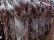 Crise Viande l’élevage l’assiette