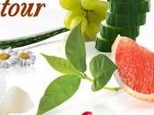 Petits quatre-quarts Chocolat Gingembre Recette autour d'un ingrédient