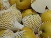 ALCOOL: poire révèle effet anti-gueule bois CSIRO