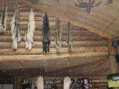 journée parmi Bisons… Normandie