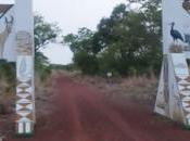 Aires protégées Burkina Faso: situation forêt classée ranch gibier Nazinga inquiétante