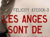 Felicity Atcock, tome anges sont mauvais poil, Sophie Jomain