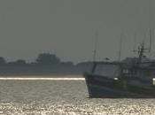 l’eau, Pertuis charentais l’île d’Yeu