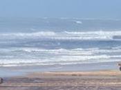 Érosion littoral Atlantique l'activité humaine principale responsable