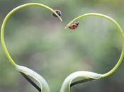 développement durable: utopie chantier