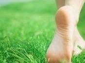 SCLÉROSE plaques: manque vitamine décisif dans maladie PLoS Medicine