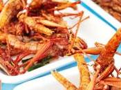 ENTOMOPHAGIE Consommer insectes pour leurs protéines… graisses