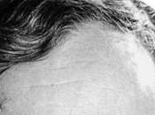 carnaval écologiste